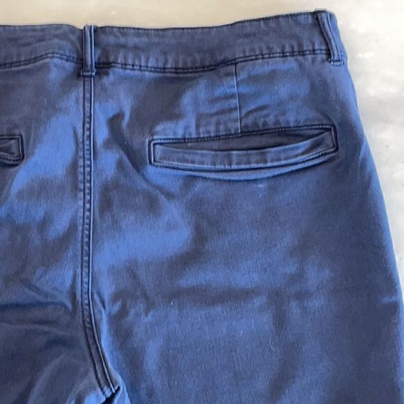 American Eagle Outfitters Blue Shorts - Picture 8 of 13